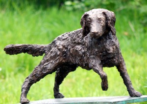 belgian spaniel