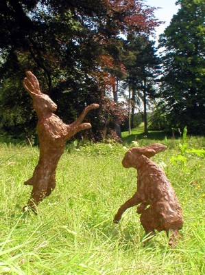 hares boxing