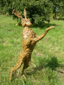 hare standing