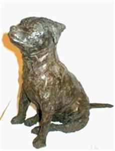 staffordshire bull terrier